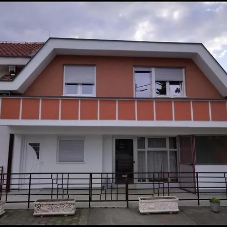 Venera Loznica